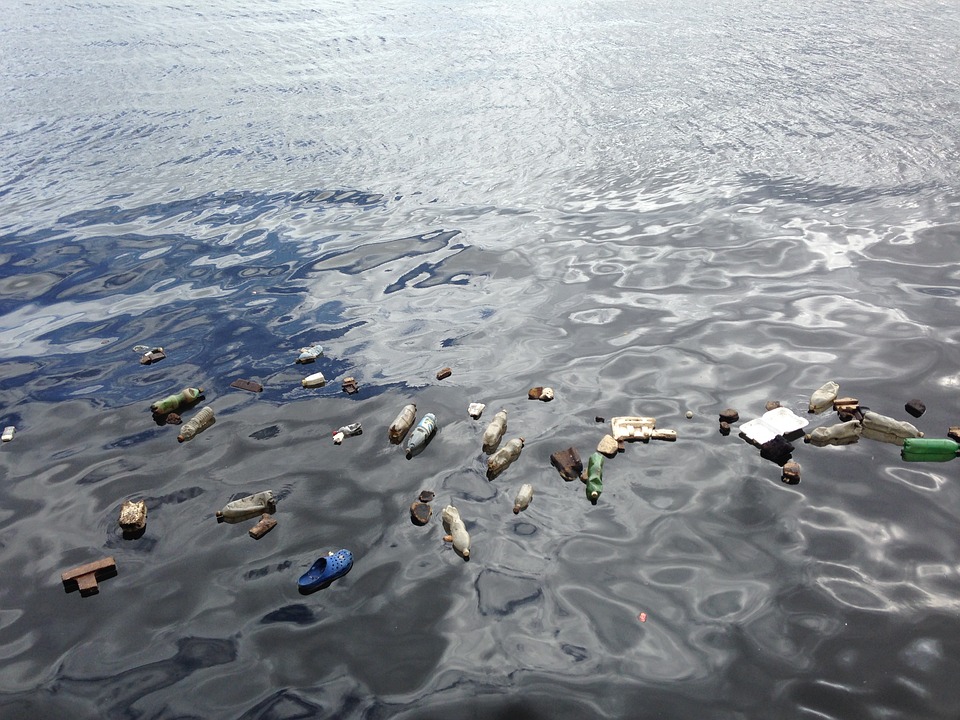 Via la plastica usa e getta entro il 2021: approvata dal Parlamento Europeo la nuova legge