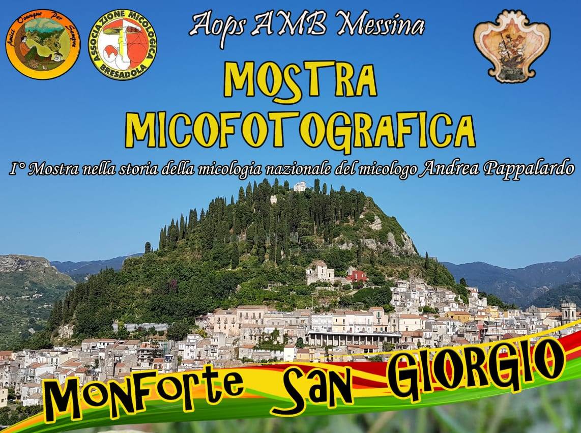 Monforte San Giorgio, il 29 luglio l’inaugurazione della Mostra Micofotografica a cura di Andrea Pappalardo