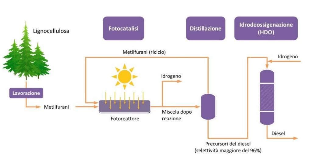 Scarti agricoli per carburanti ecologici: ecco come trasformare le biomasse in combustibile diesel