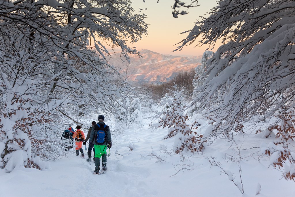 Viaggi invernali, ecco i trend delle perfette vacanze sportive sulla neve