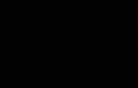 È il Blackout Tuesday: lo stop del mondo dello spettacolo per la morte di Floyd per dire “no” al razzismo