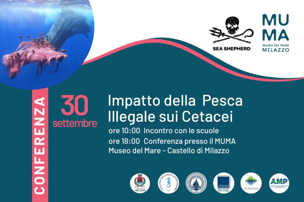 “Impatto della Pesca illegale sui Cetacei”, se ne parla a Milazzo